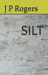 bokomslag Silt