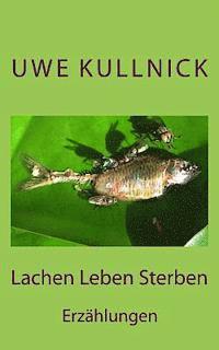 bokomslag Lachen Leben Sterben: Erzählungen