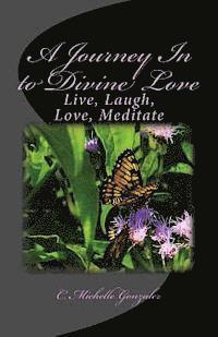 bokomslag A Journey In to Divine Love: Live, Laugh, Love, Meditate
