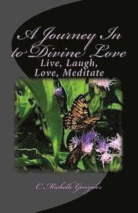 A Journey In to Divine Love: Live, Laugh, Love, Meditate 1