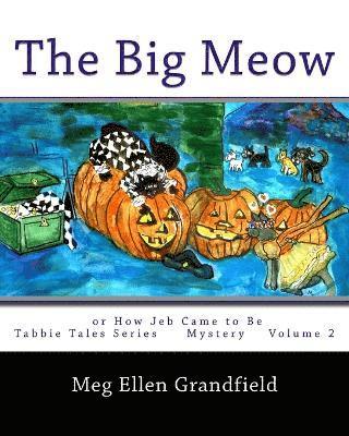 bokomslag Big Meow