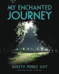 bokomslag My Enchanted Journey