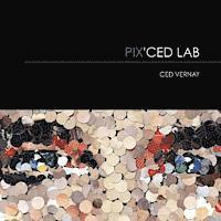bokomslag Pix' Ced Lab: Ced Vernay