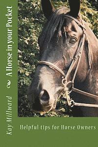 bokomslag A Horse in your Pocket