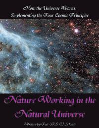 bokomslag How the Universe Works: Implementing the four cosmic principles: Nature Working in the Natural Universe