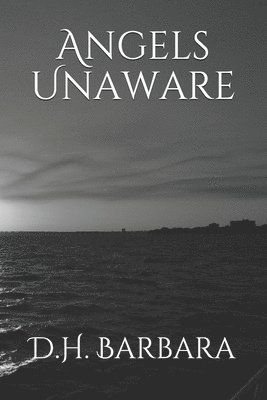 D. H. Barbara - Angels Unaware, Häftad