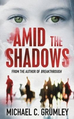 Amid the Shadows 1