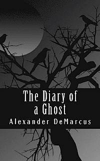 bokomslag The Diary of a Ghost