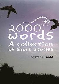 bokomslag 2000 words: A collection of short stories