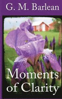 G. M. Barlean - Moments of Clarity, Häftad