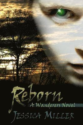 bokomslag Reborn (wanderers, #2)