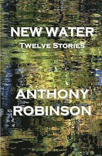 Anthony Robinson - New Water: Twelve Stories, Häftad