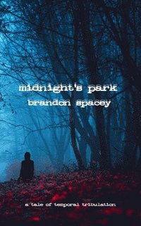bokomslag Midnight's Park