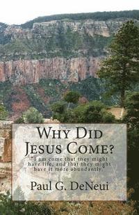 bokomslag Why Did Jesus Come?