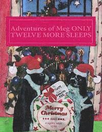 bokomslag Adventures of Meg ONLY TWELVE MORE SLEEPS