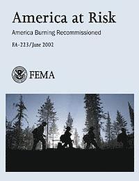 bokomslag America at Risk: America Burning Recommissioned (FA-223)
