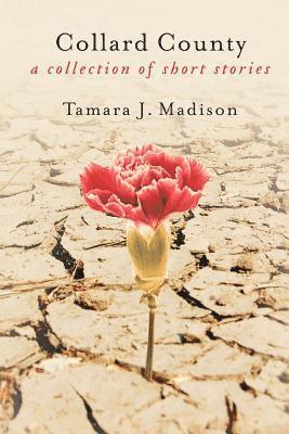 Tamara J. Madison - Collard County: A Collection of Short Stories, Häftad. Tillgänglighet: Lägg i varukorg