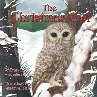 bokomslag The Christmas Owl