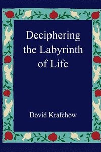 bokomslag Deciphering the Labyrinth of Life