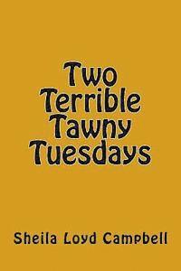 bokomslag Two Terrible Tawny Tuesdays