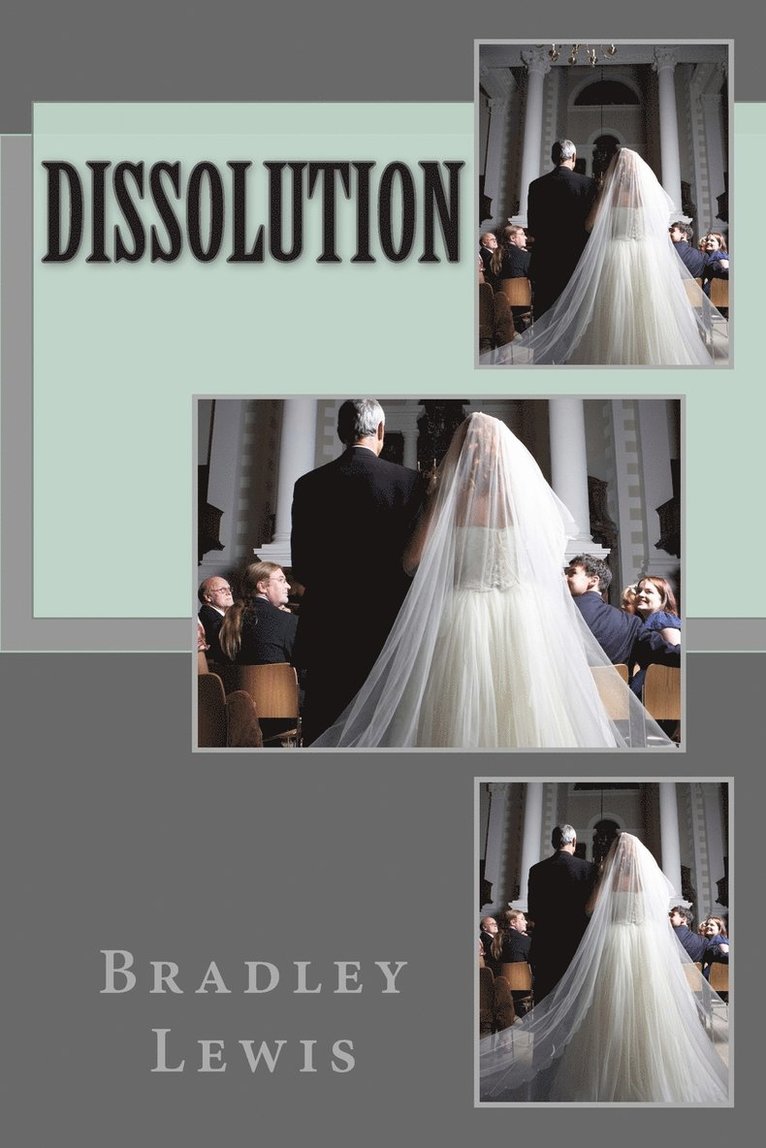 Bradley Lewis - Dissolution, Häftad