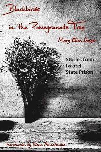 bokomslag Blackbirds in the Pomegranate Tree: Stories from Ixcotel State Prison