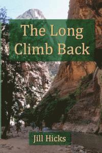 bokomslag The Long Climb Back
