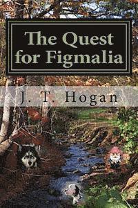 bokomslag The Quest for Figmalia: The Quest for Figmalia: The Child of Harmony Book 1