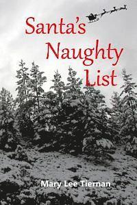 bokomslag Santa's Naughty List