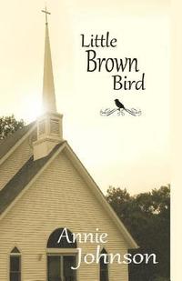 bokomslag Little Brown Bird