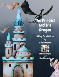 bokomslag The Princess and the Dragon