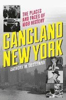 bokomslag DeStefano, A: Gangland New York