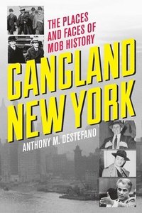 bokomslag Gangland New York: The Places and Faces of Mob History