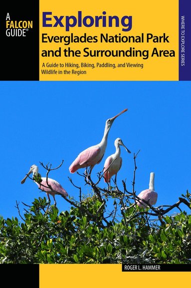 Roger L. Hammer - Exploring Everglades National Park and the Surrounding Area, Häftad