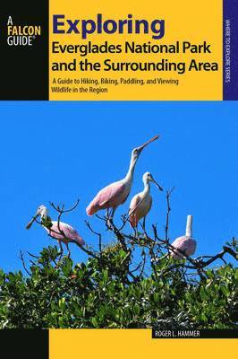 Exploring Everglades National Park and the Surrounding Area