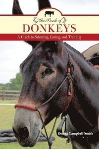 bokomslag The Book of Donkeys