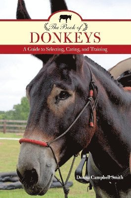 bokomslag Book of Donkeys
