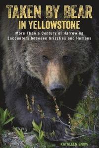bokomslag Taken by Bear in Yellowstone