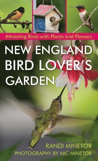 Randi Minetor - New England Bird Lover's Garden, Häftad