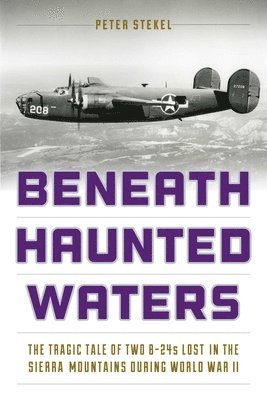 Peter Stekel - Beneath Haunted Waters, Häftad