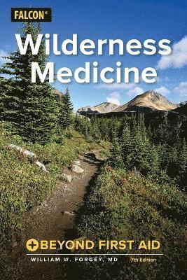 William W. Forgey, MD Forgey, William W. - Wilderness Medicine, Häftad
