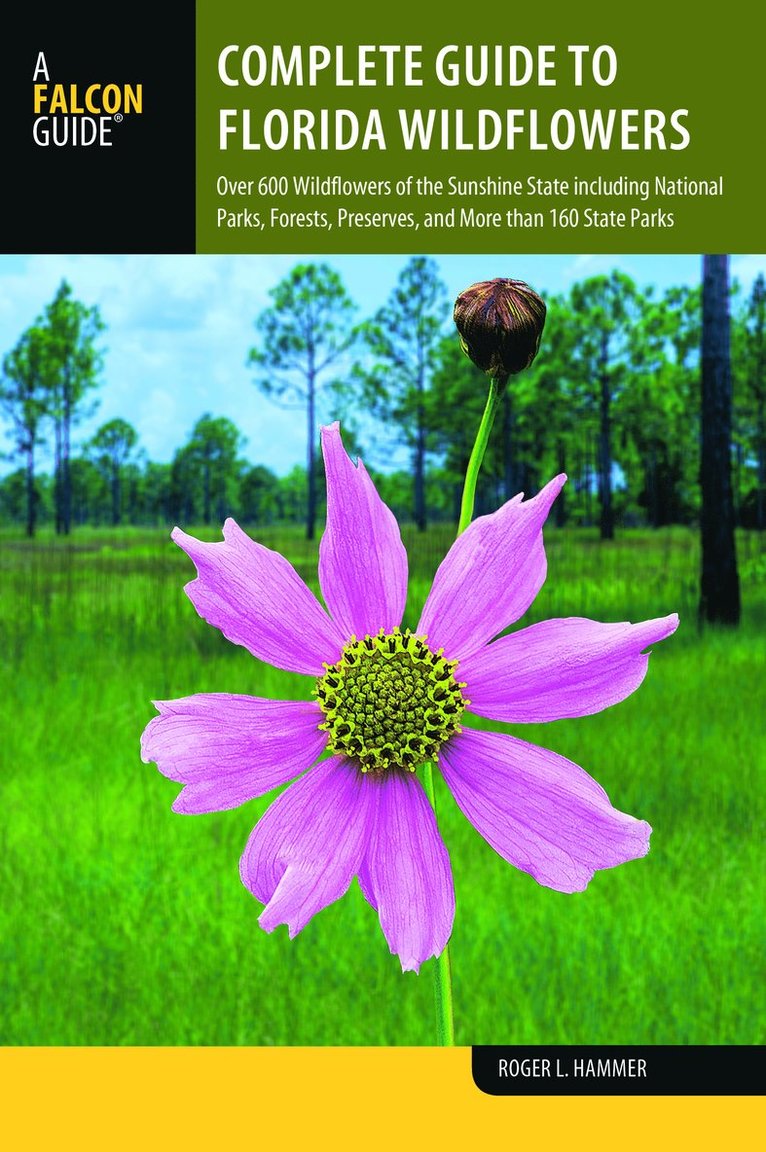 Complete Guide to Florida Wildflowers