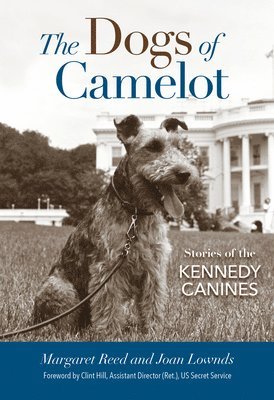 The Dogs of Camelot 1