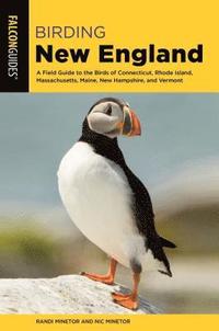 bokomslag Birding New England