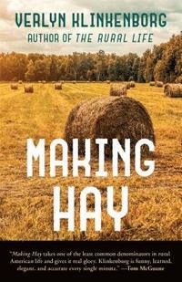 bokomslag Making Hay