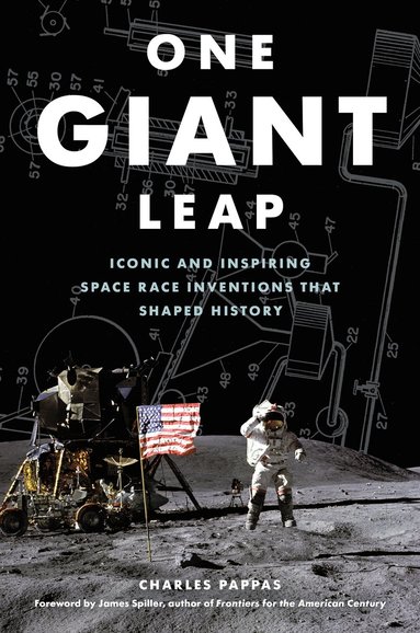 bokomslag One Giant Leap