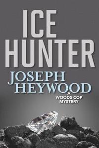 bokomslag Ice Hunter