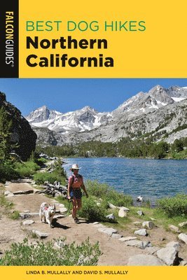bokomslag Best Dog Hikes Northern California