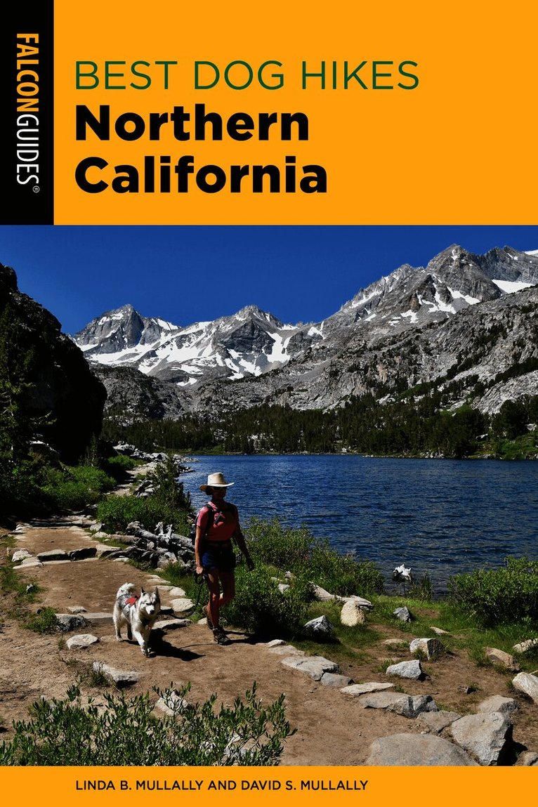 Best Dog Hikes Northern California