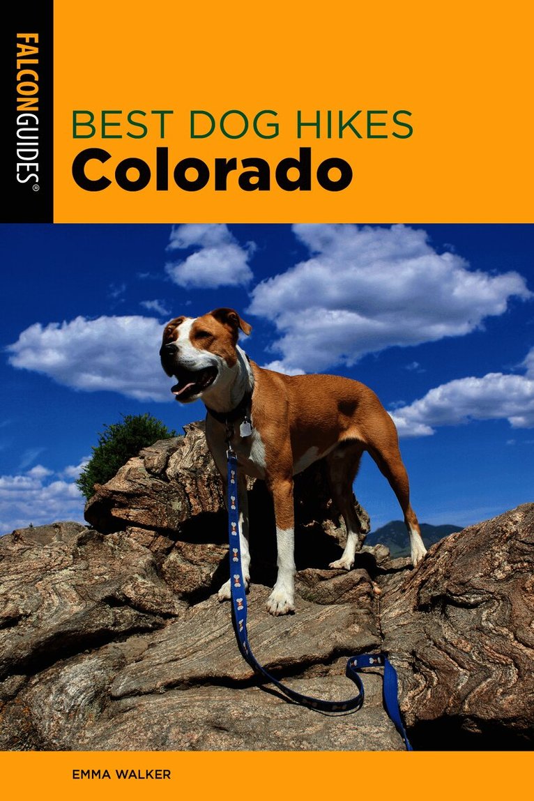 Best Dog Hikes Colorado